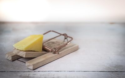 4 ways to Overcome the ‘Authority Trap’ when Navigating Complexity