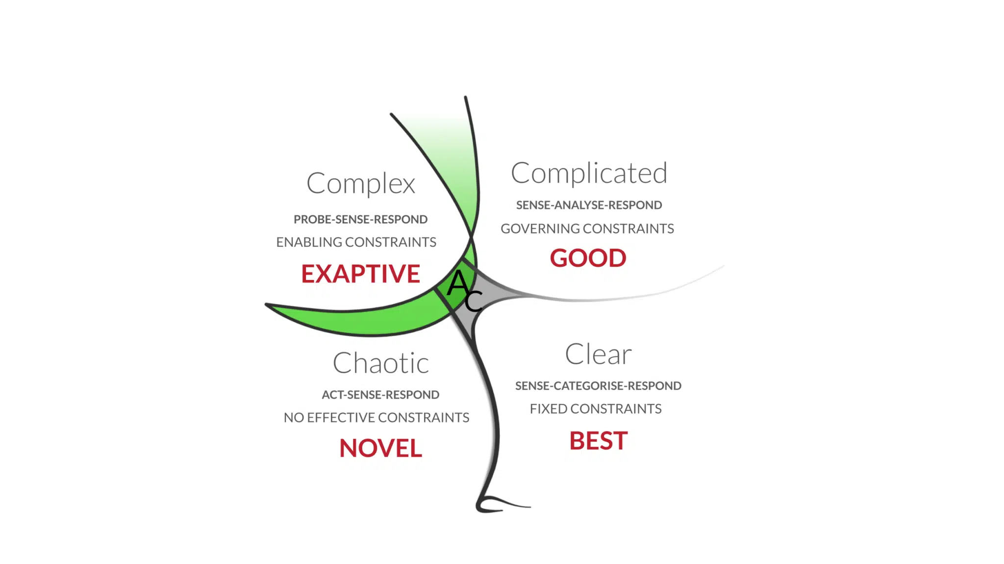 Balcony Perspective - the Cynefin Framework