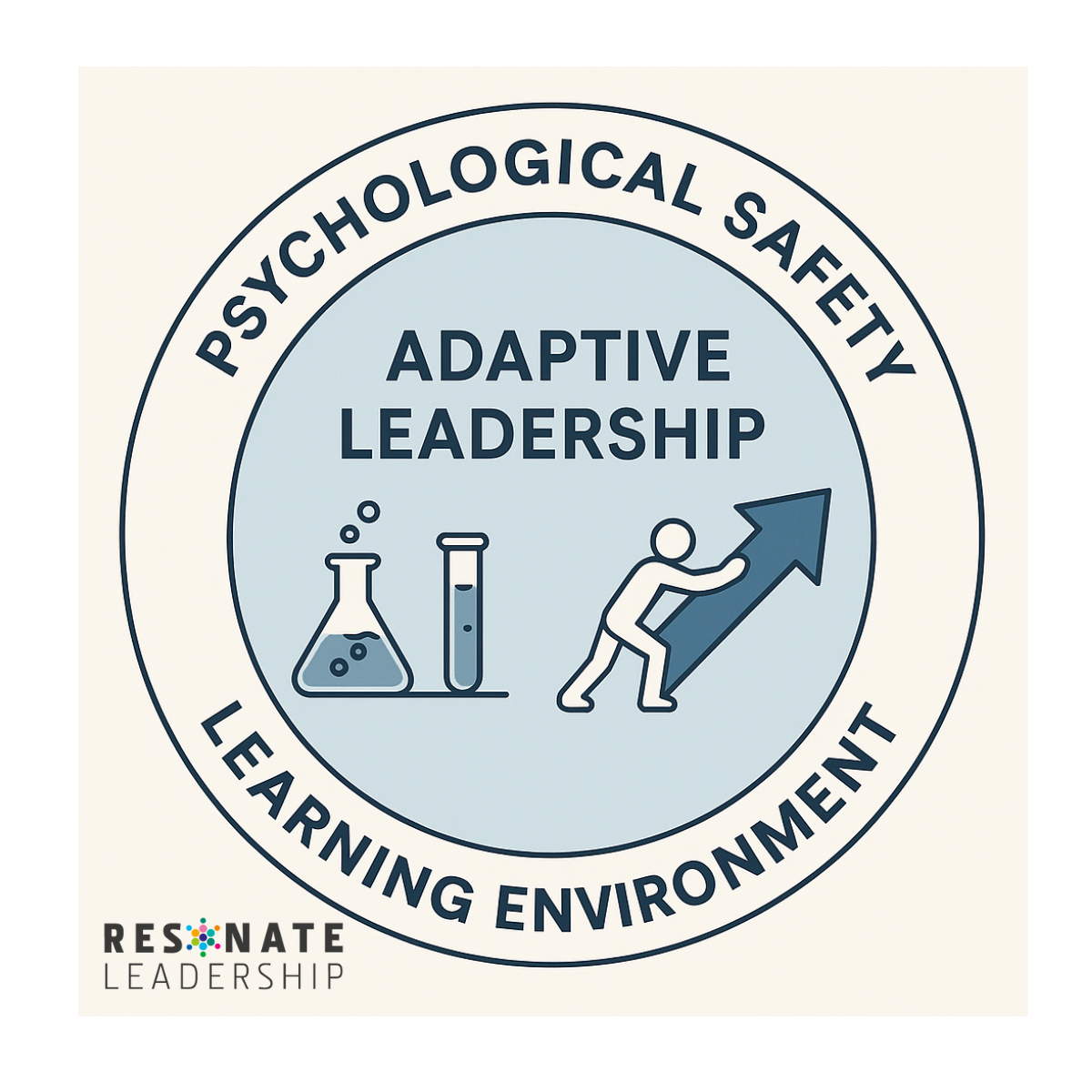 Learning Environment, psychological safety, adaptive leadership and complexity